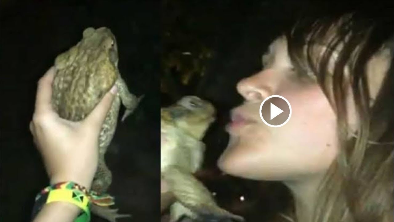 one girl one frog viral video